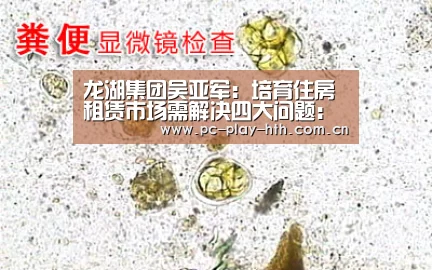 龙湖集团吴亚军:培育住房租赁市场需解决四大问题:华体会官网(图1) 龙湖集团吴亚军:培育住房租赁市场需解决四大问题:华体会官网(图1)