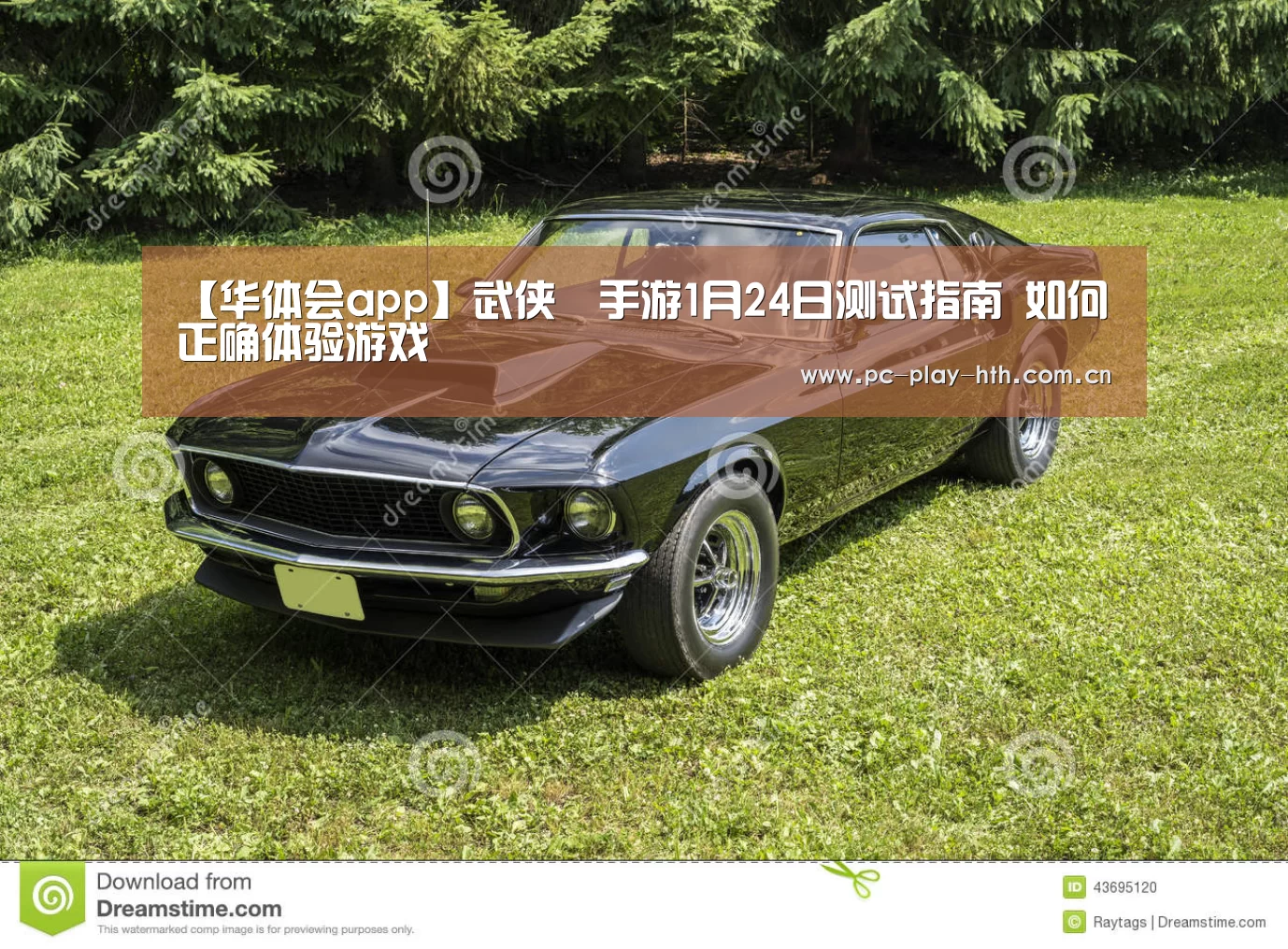 华体会