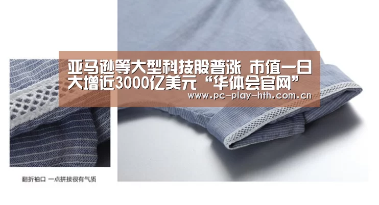亚马逊等大型科技股普涨 市值一日大增近3000亿美元“华体会官网”(图2) 华体会