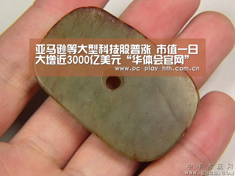 亚马逊等大型科技股普涨 市值一日大增近3000亿美元“华体会官网”(图3) 华体会app